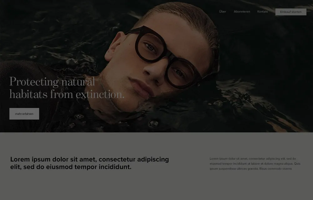 Mockup einer Webseite von vanAchibald